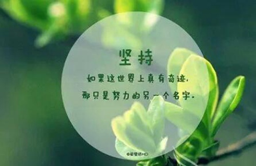 精美励志文章摘抄大全800字